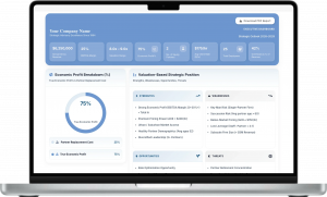 ValueMyCPAFirm.com Executive Summary