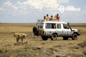 Masai Mara - micro-cations destination