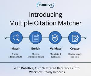 Pubhive Multiple Citation Matcher