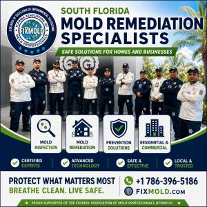 South Florida Mold Remediation Specialists Offer Safe Solutions for Homes and Businesses