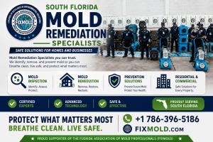 Mold Remediation Specialists
