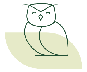 Owl's Nest Logo.