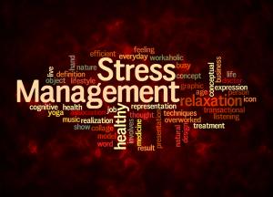 photo of a logo schematic all done in various colors of burgandy and red with beige letters with smaller words related to Stress and Large letters that read STRESS MANAGEMENT