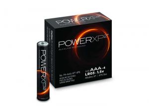 AAA alkaline battery