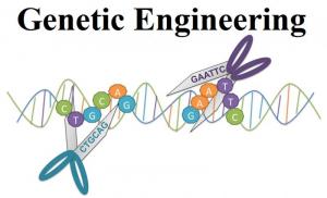 Genetic Engineering Market
