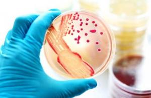 Molecular Biology Enzymes, Reagents and Kits Market