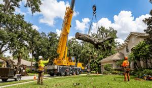 Tree removal service using a crane to lift a large tree trunk in a residential area with workers supervising the operation.