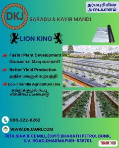 lion king mulching sheet