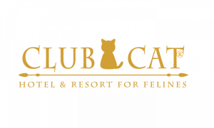 Club Cat is Orange County's only truly luxury cat hotel