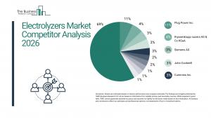 Electrolyzers Market Overview