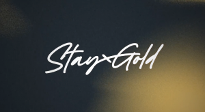 StayGold logo is a handwritten typography with a textured background of blotted navy and gold tones.