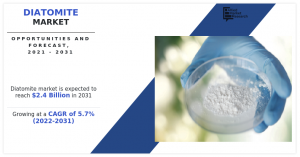 Diatomite Markets CAGR