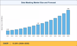 Data Masking Market Size