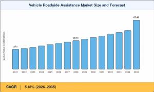 Vehicle Roadside Assistance Market Summary