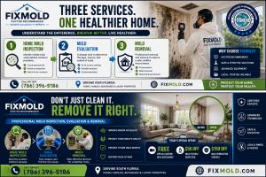 Step-by-step guide to mold inspection, evaluation, and professional mold removal