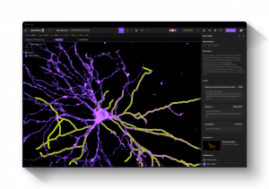 Allen Institute using NeuroGlass by MetaCell to support large-scale brain imaging workflows