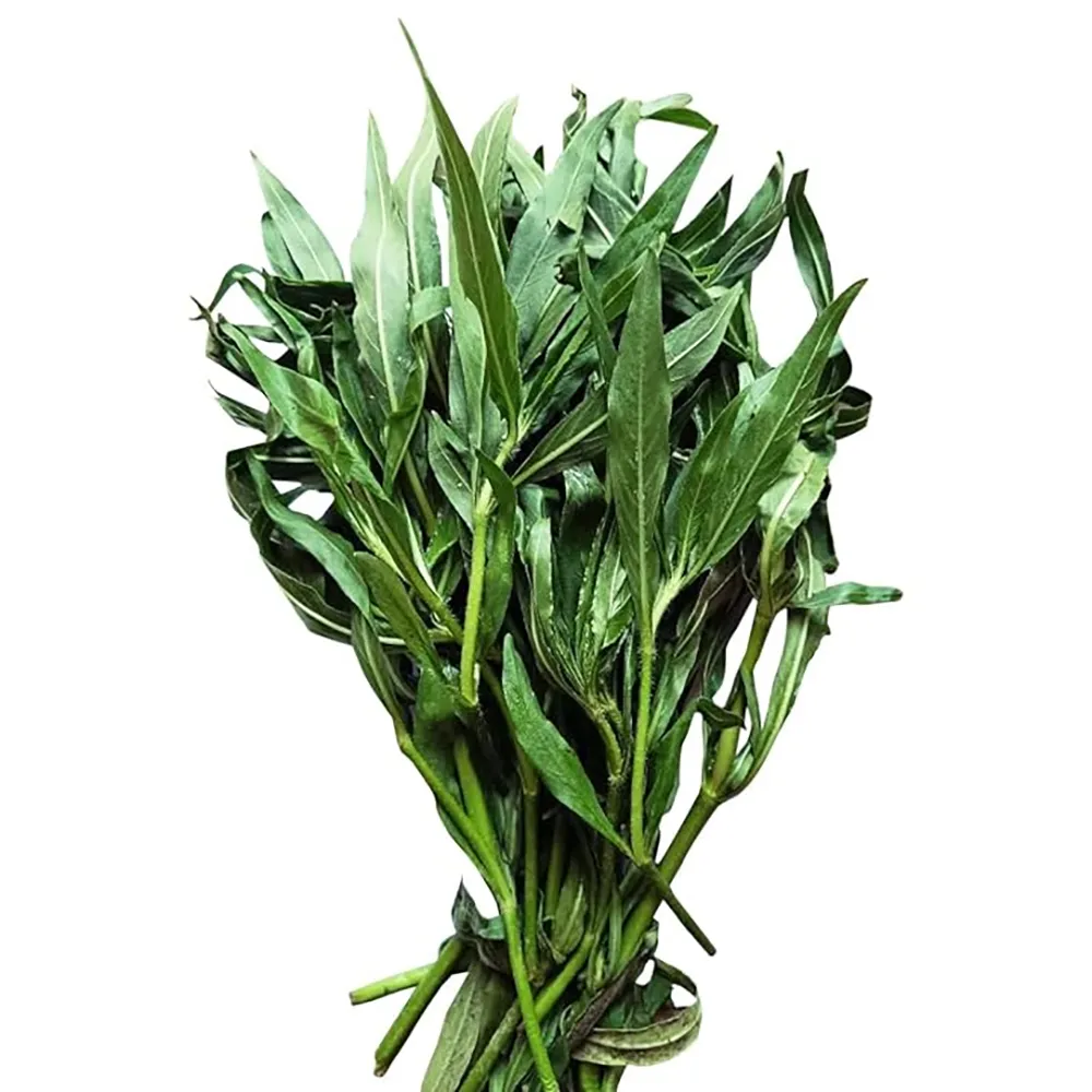 Fresh Kulekhara leaves bundled together, commonly used in home gardening and plant cultivation applications.