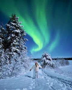 Aurora Borealis at NOA Villas