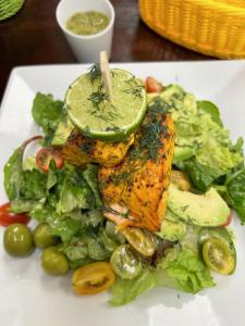 Salmon