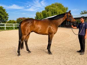 Asaassi is ready for the 2026/27 racing season in the UAE
