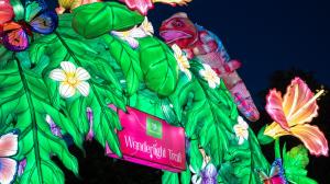 Large, illuminated archway entrance at Wanderlight Trail