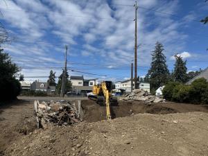 Demolition in Progress with Franky's Excavation
