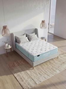Jinlongheng Customizable Mattress Series