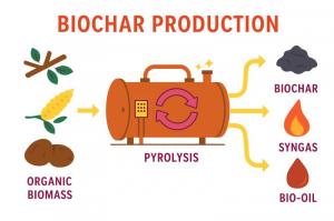 Biochar Market Rising Demand