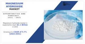 Magnesium Hydroxide Market Rising Demand