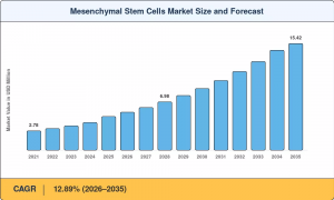 Mesenchymal Stem Cells Market Size