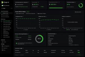 Usage.ai's interface with all 10 DSP services