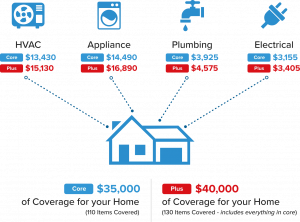 HomeMembership Coverage Infographic
