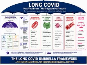 Long COVID umbrella framework