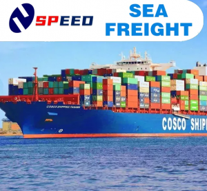Sea Freight Service: Quick Clearance，Rapid pre-screening of hs codes