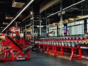 Qingdao Yingruis Fitness Technology Co., Ltd...