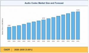 Audio Codec Market Size