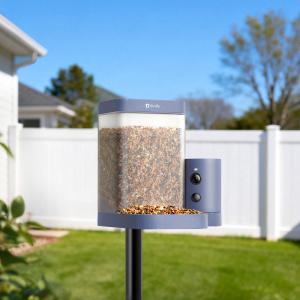 Birdfy Feeder Rookie