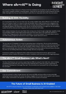 A one-pager that describes what silv=rAI™ is, and why Silver Lining has adopted AI features.