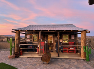 Custom shed with bar inside