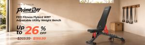 FED Fitness WB7