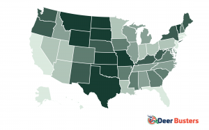 Choropleth map of the United States shading each state by its rank in Deer Busters' Best States for Homesteading study. Darker green indicates a higher (better) rank — Texas, Montana, Wyoming, and the Dakotas are darkest, while coastal states, Alaska, and