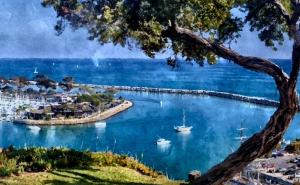 Dana Point Harbor and surrounding luxury coastal homes in Orange County, California