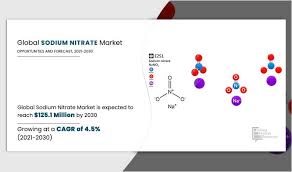 Sodium Nitrate Market Growing Demand