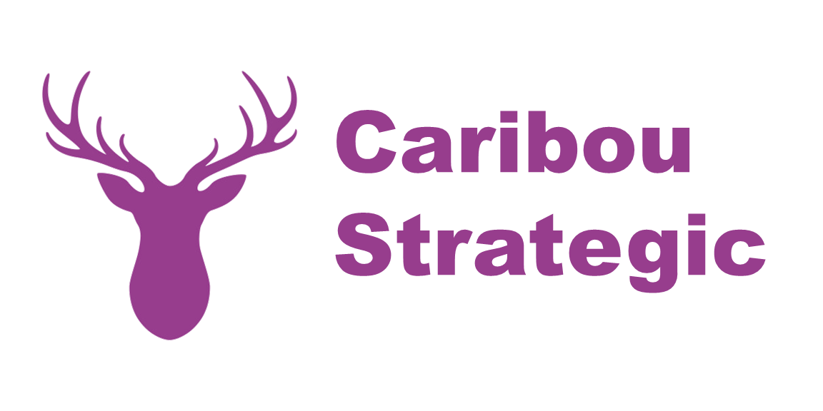 Caribou Strategic: Transforming CEOs into Bestselling Authors