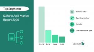 Sulfuric Acid Market Report 2026_Segments
