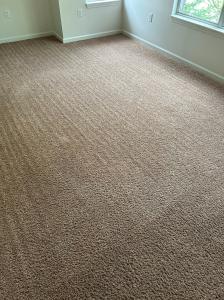 Carpet Care