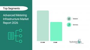 Advanced Metering Infrastructure Market Report 2026_Segments