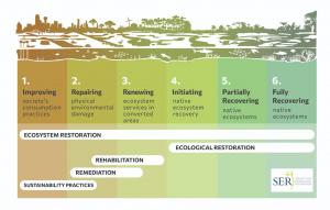 This chart, titled "Restorative Continuum" by the Society for Ecological Restoration (SER), illustrates the different stages and types of environmental recovery efforts. The graphic is divided into six numbered columns that transition from left to right, 