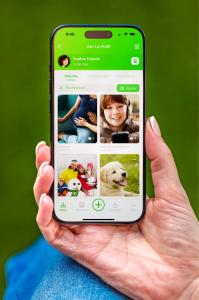 Écran de l’application montrant des photos de famille organisées dans des albums