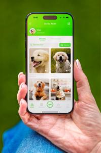 Écran de l’application montrant des photos d’animaux organisées dans des albums